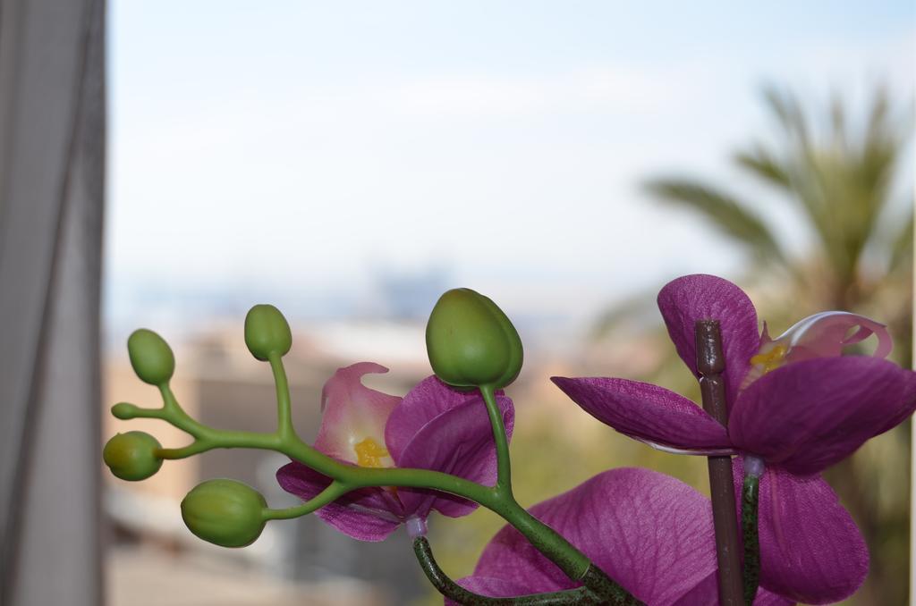 Apartsuits Tarragona Rambla Nova 24 Екстер'єр фото